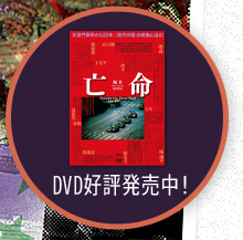 DVD好評発売中！
