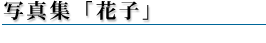 ʐ^WuԎqv