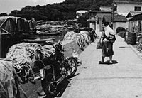 烂ȂC\1982N  \