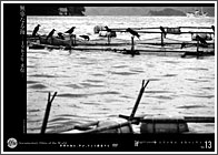 無辜なる海―1982年 水俣―
