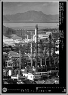 水俣病=その20年=/水俣病−その30年−
