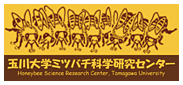 玉川大学ミツバチ科学研究センター