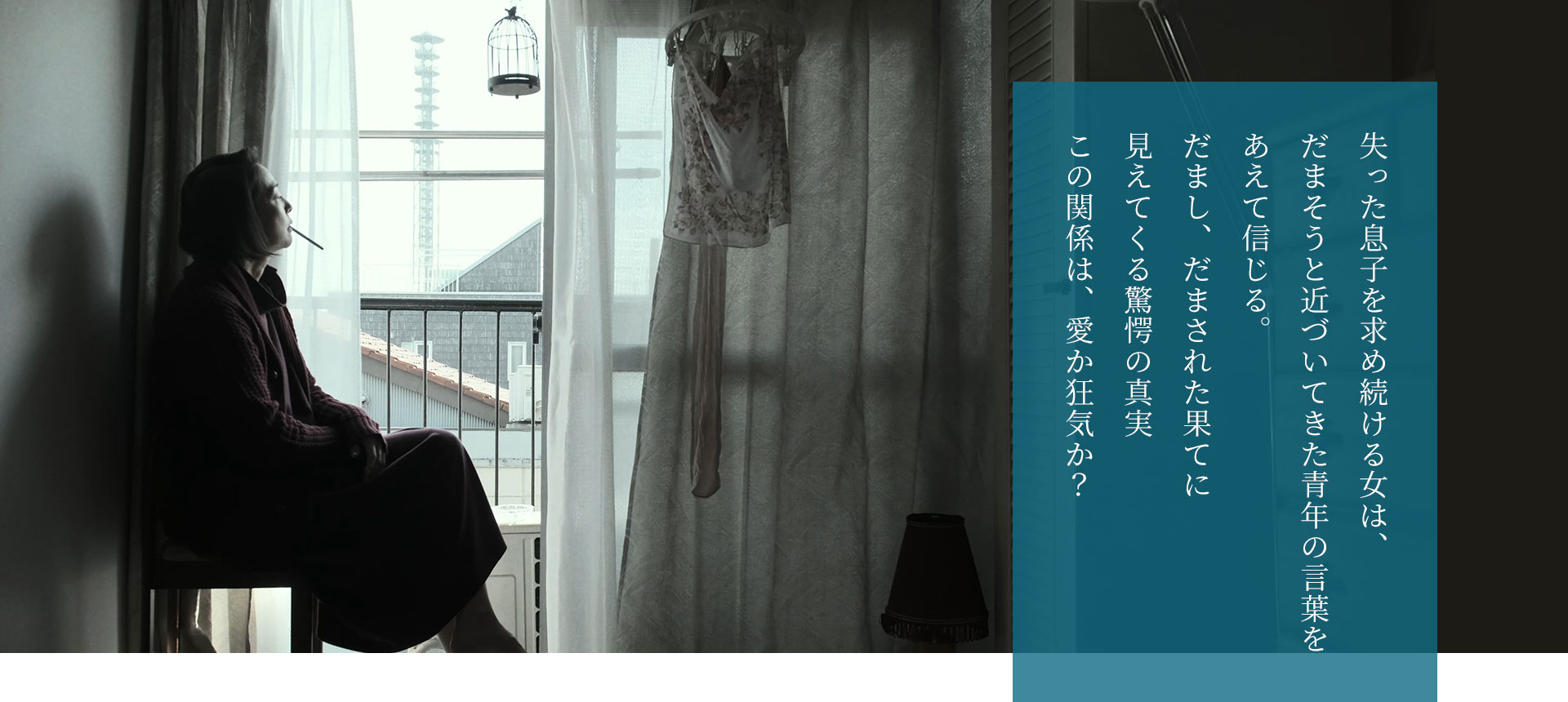 失った息子を求め続ける女は、だまそうと近づいてきた青年の言葉をあえて信じる。 だましだまされた果てにみえてくる驚愕の真実 この関係は、愛か狂気か?