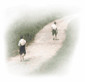 view_pic4