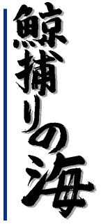 ~߂̊C